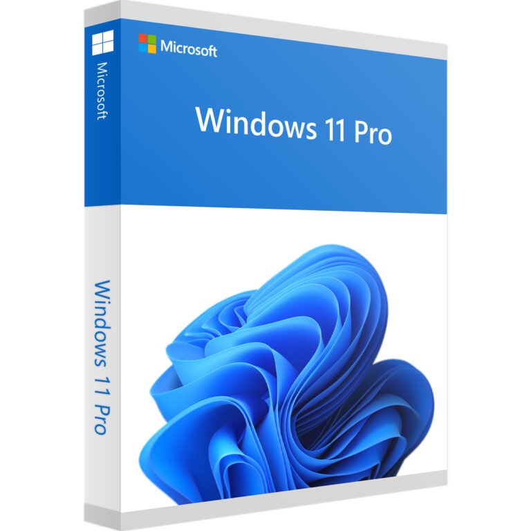 Windows_11_Pro-3